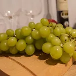 Moeblierte Naehe Speyer Niederlustadt