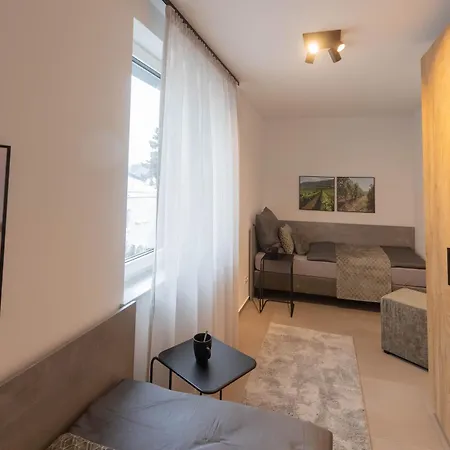 Apartamento Moeblierte Naehe Speyer *