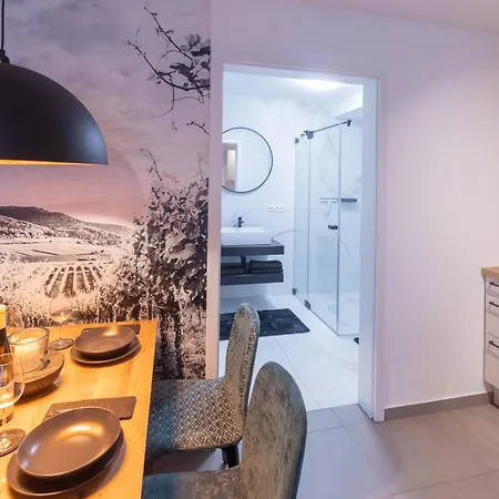 Appartement Moeblierte Naehe Speyer Niederlustadt